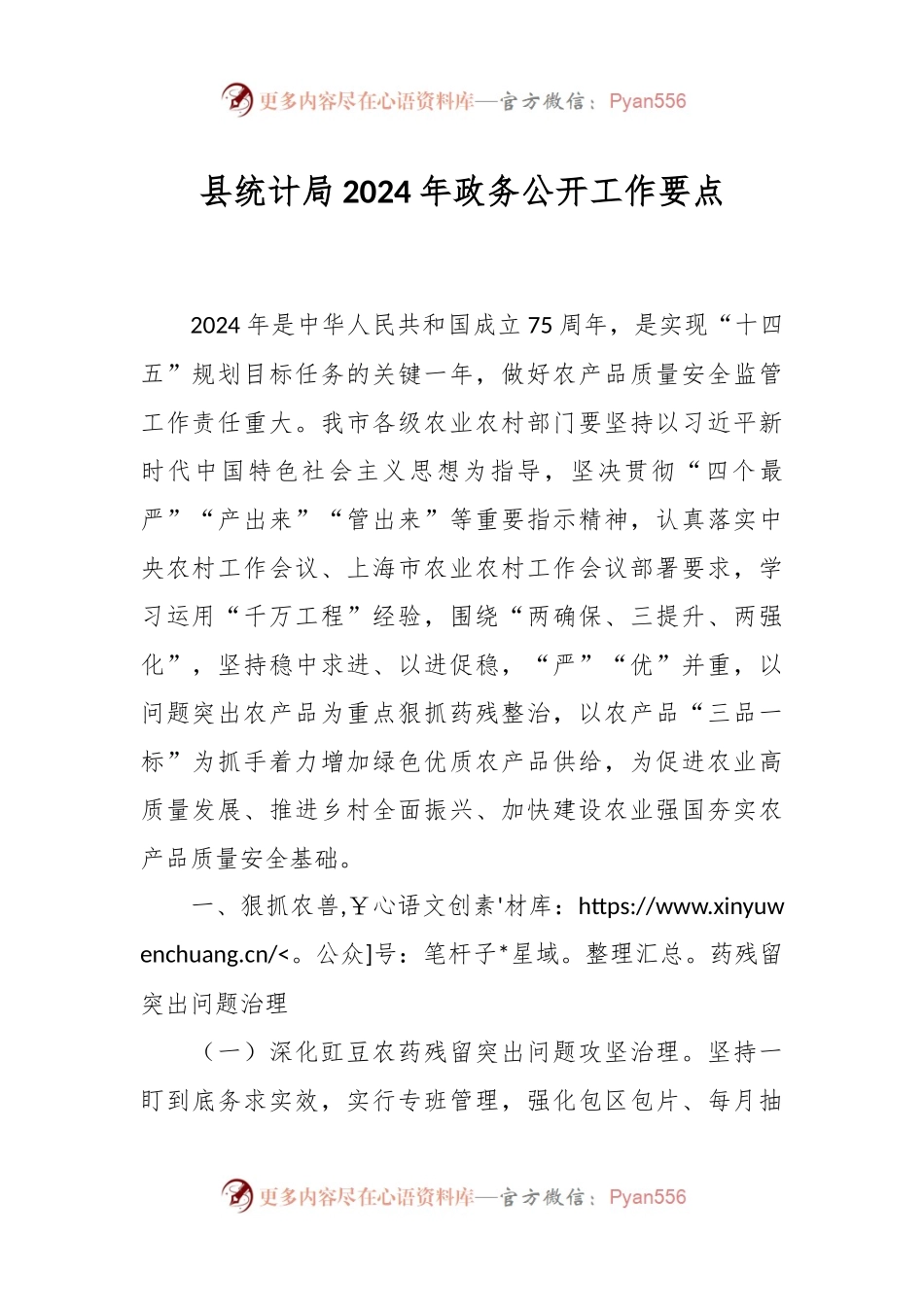 县统计局2024年政务公开工作要点.docx_第1页