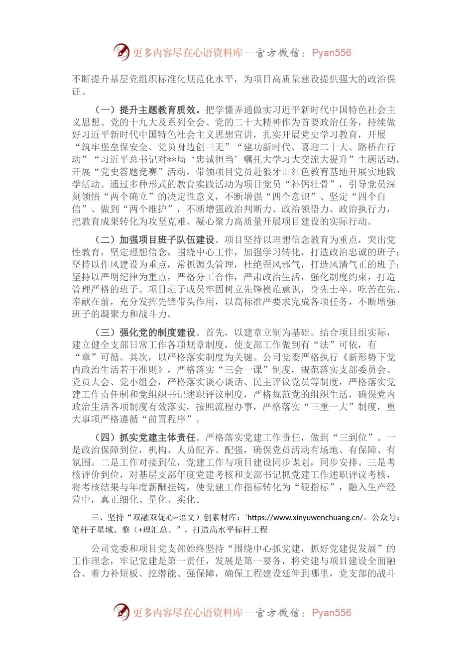 国企党建与项目建设双融双促工作情况报告.docx_第2页