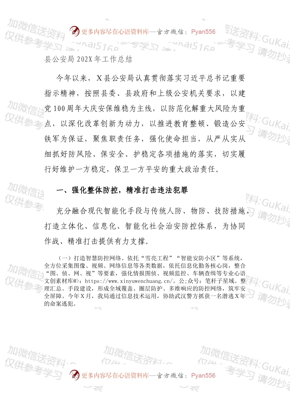 县公安局202X年工作总结.docx_第1页