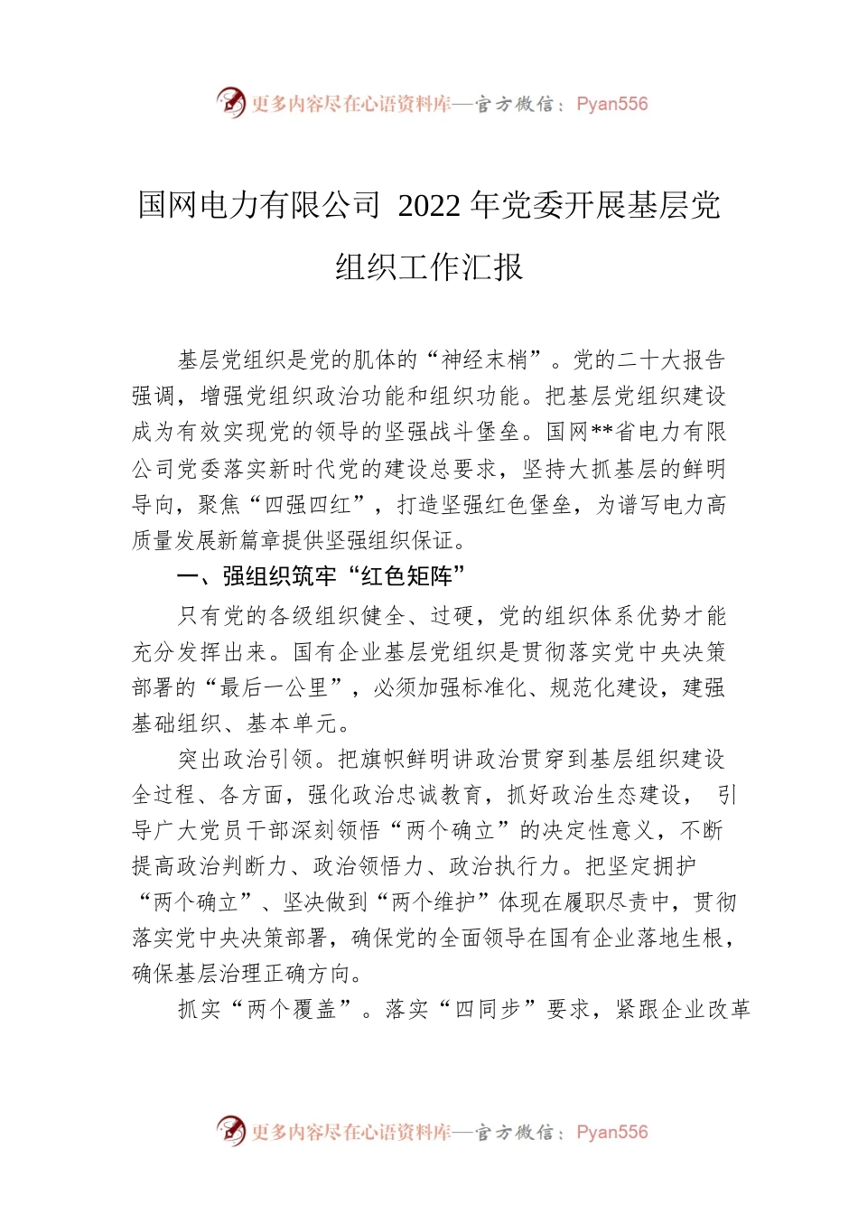 国网电力有限公司2022年党委开展基层党组织工作汇报.docx_第1页