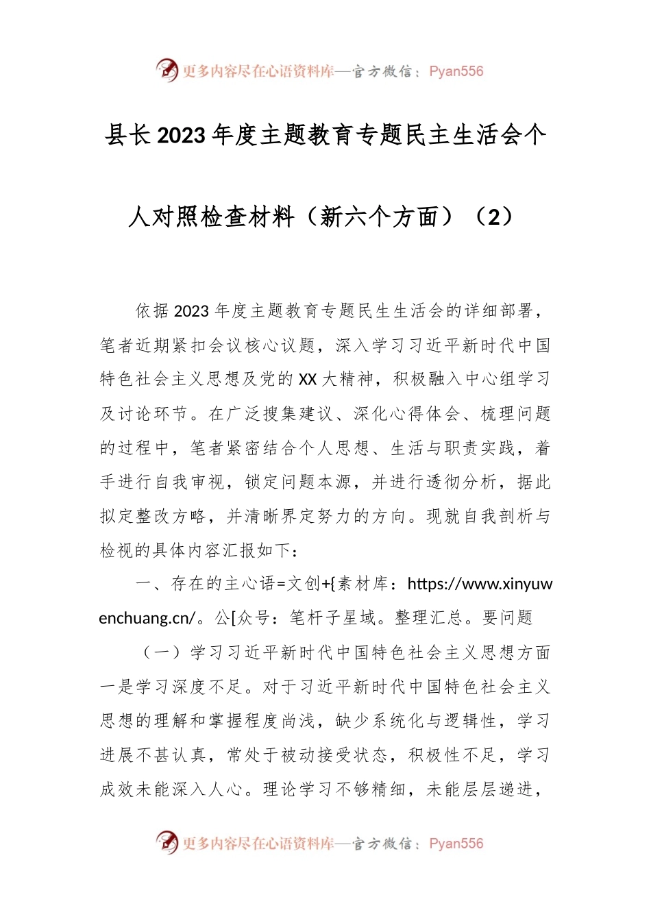 县长2023年度主题教育专题民主生活会个人对照检查材料（新六个方面）（2）.docx_第1页
