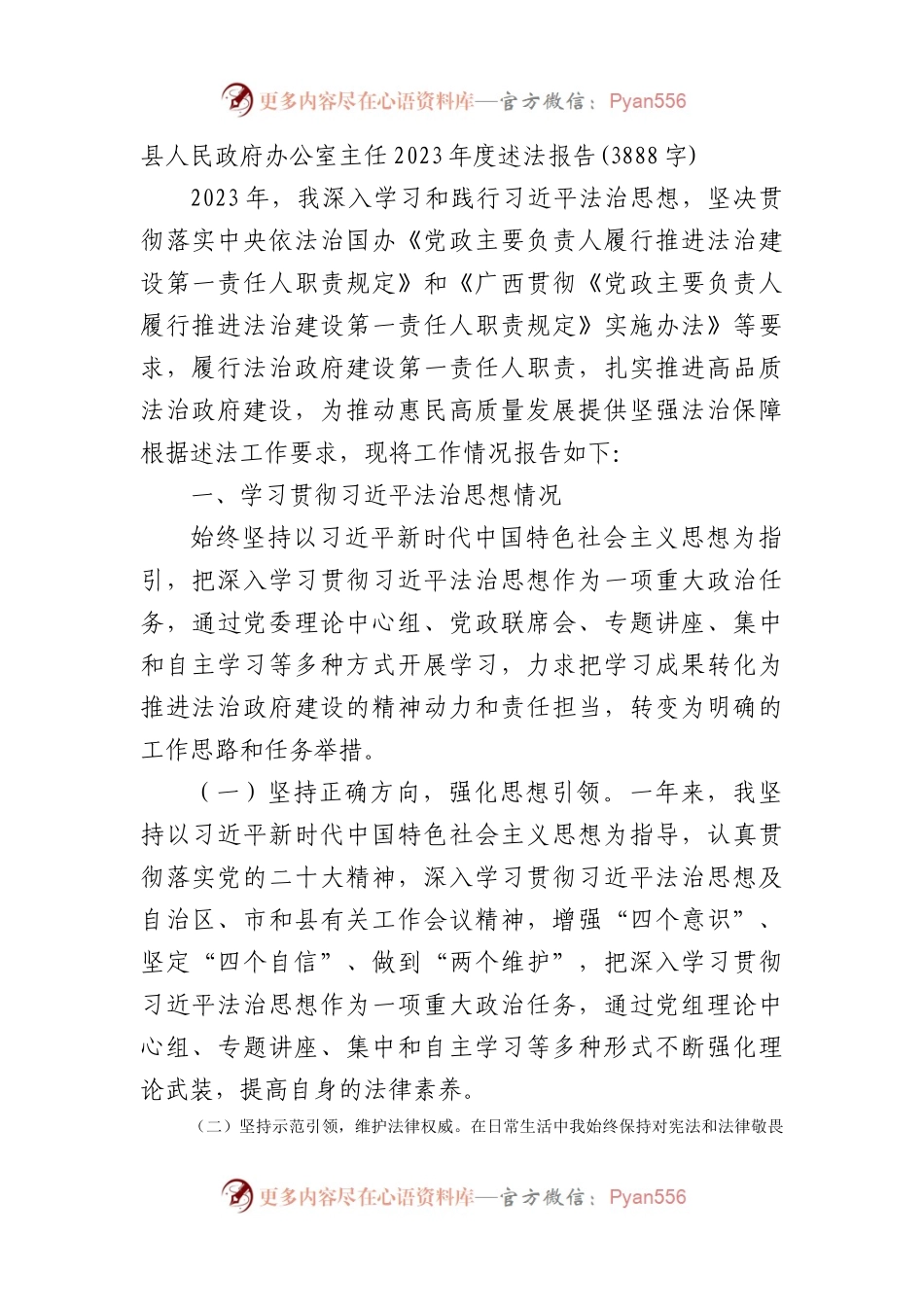 县人民政府办公室主任2023年度述法报告.docx_第1页