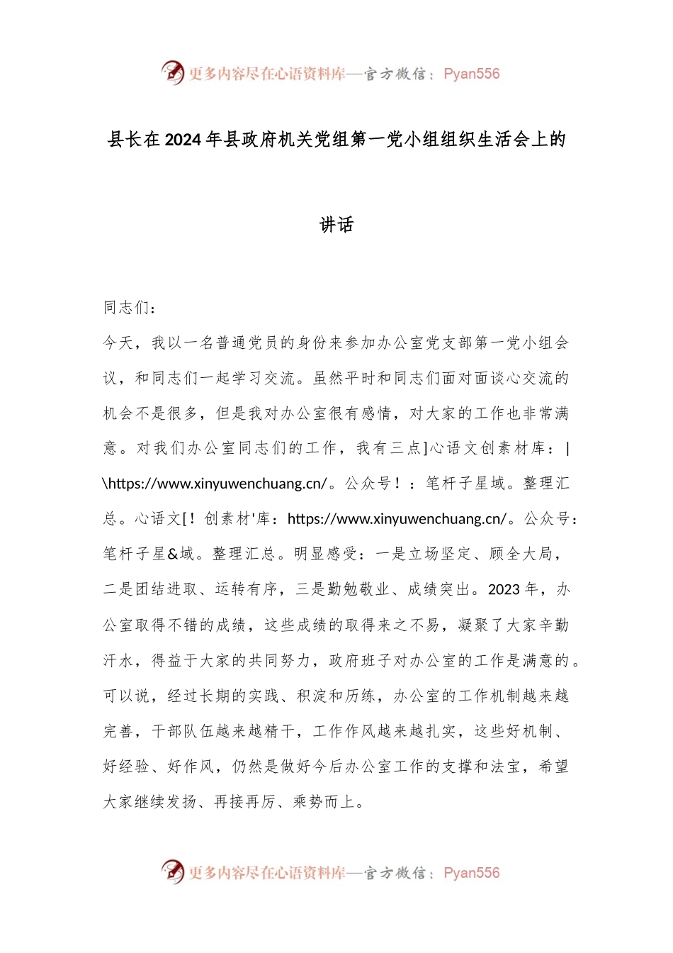 县长在2024年县政府机关党组第一党小组组织生活会上的讲话.docx_第1页