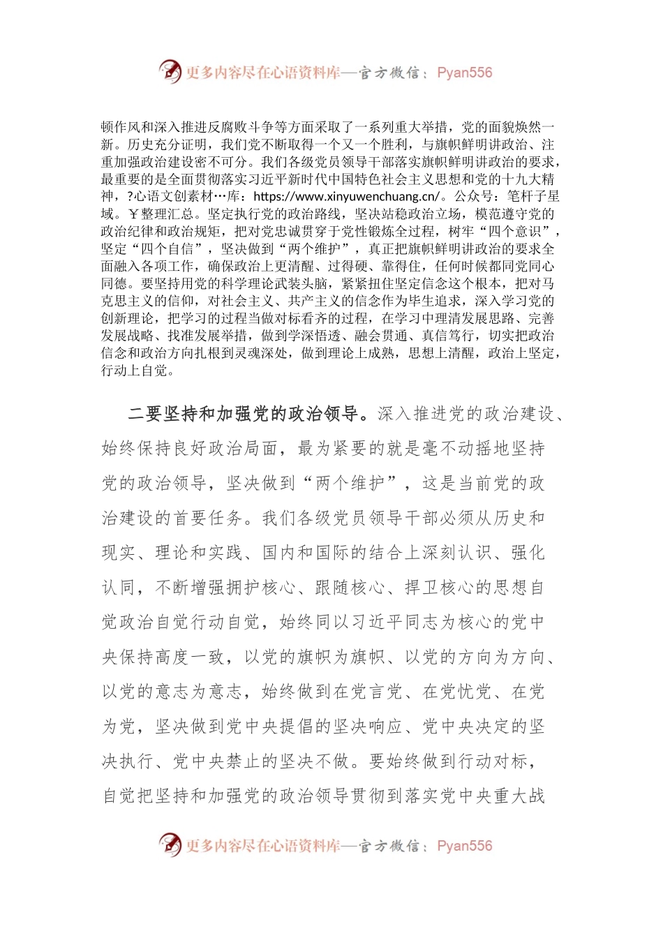 县长党的政治建设研讨发言.docx_第2页