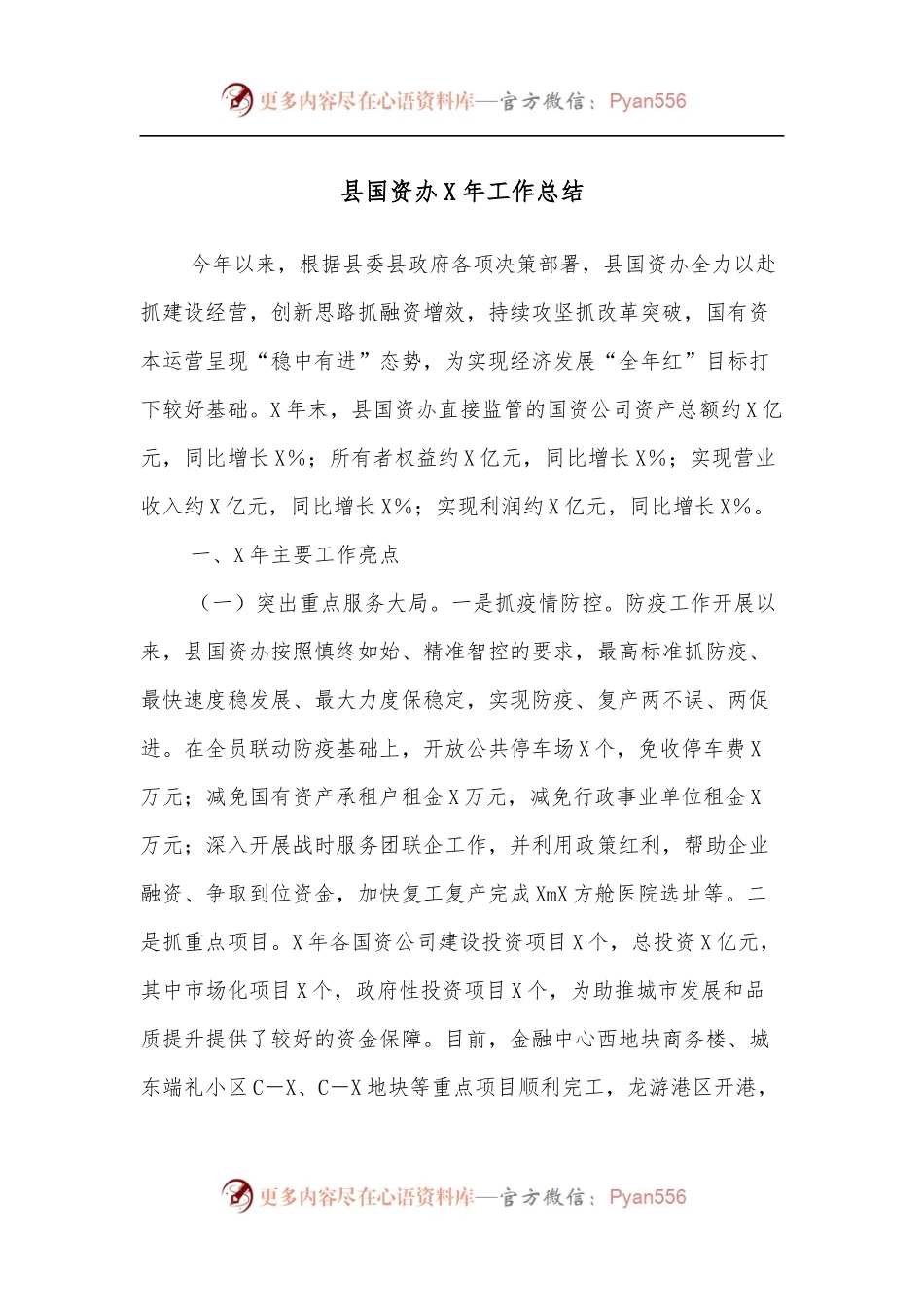 县国资办X年工作总结.docx_第1页
