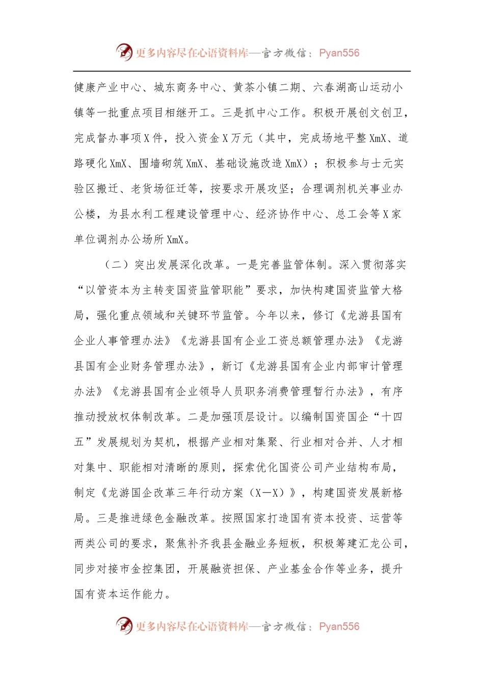 县国资办X年工作总结.docx_第2页
