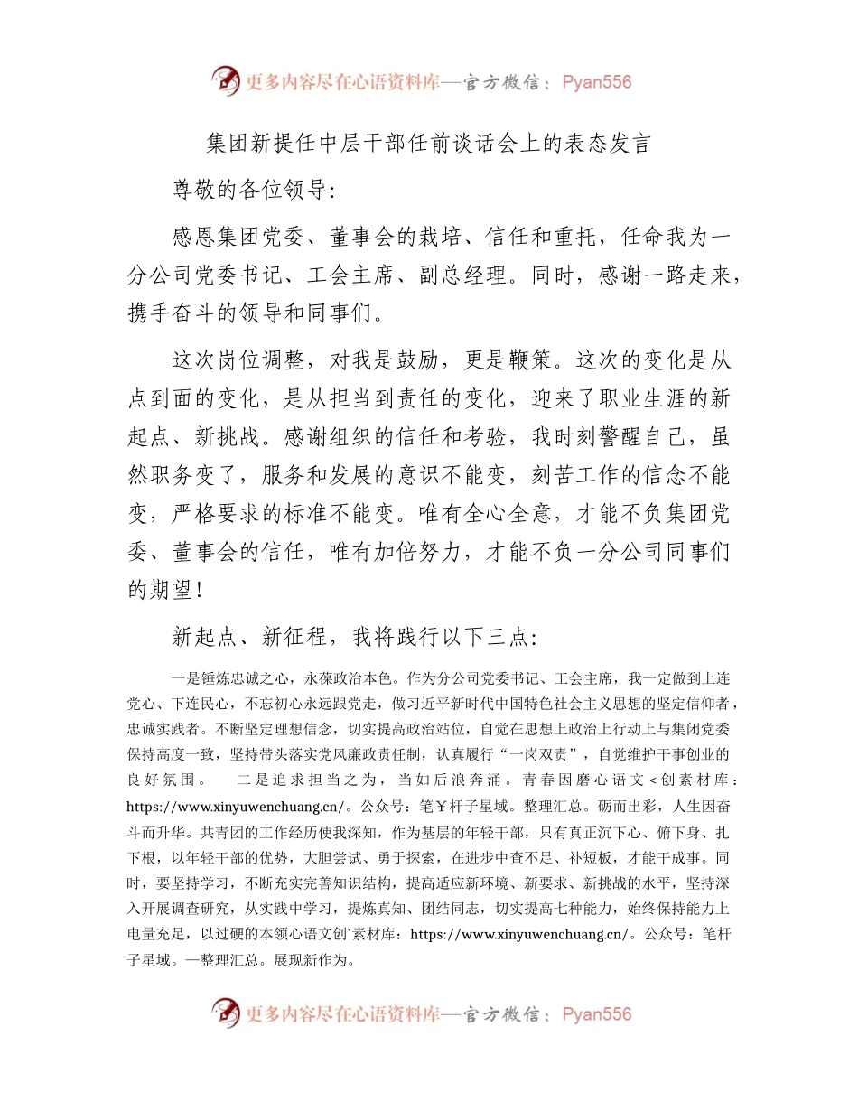 国企新提任中层干部任前谈话会上的表态发言.docx_第1页