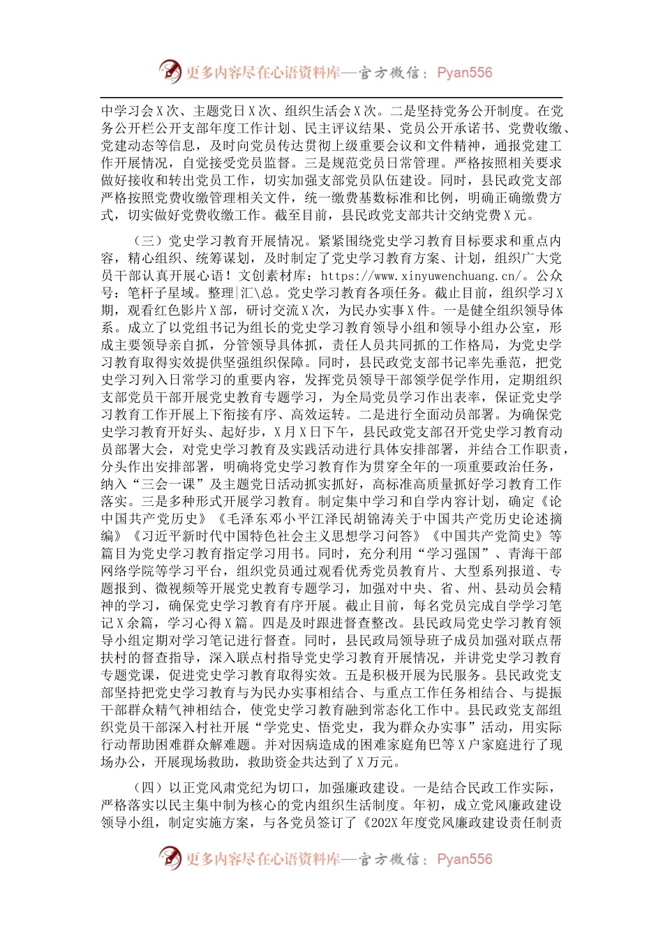 县民政党支部202X年度党建工作总结.docx_第2页