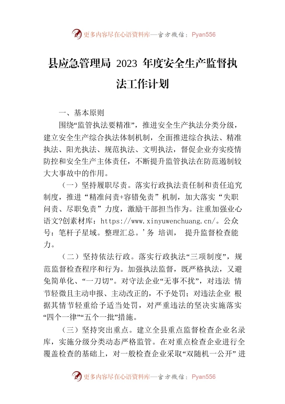 县应急管理局 2023 年度安全生产监督执法工作计划.docx_第1页