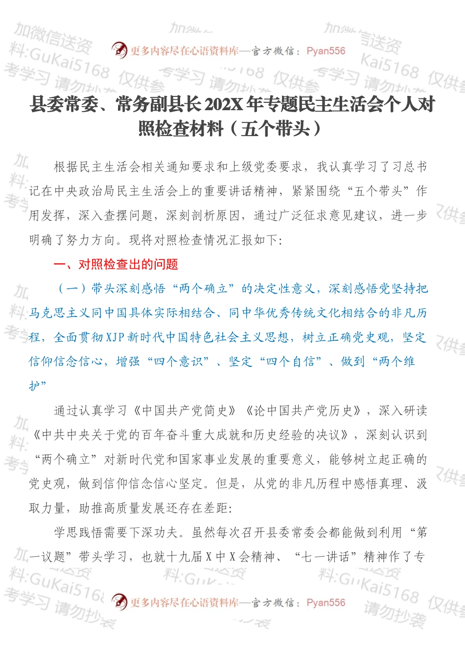 县委常委、常务副县长202X年专题民主生活会个人对照检查材料（五个带头）.docx_第1页