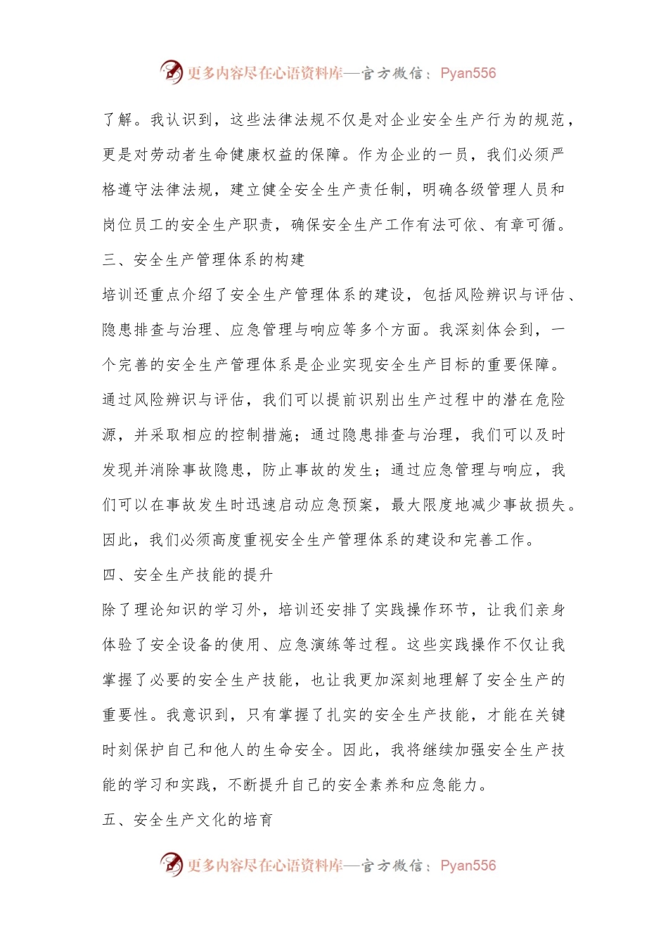 参加安全生产主体责任培训学习心得体会.docx_第2页