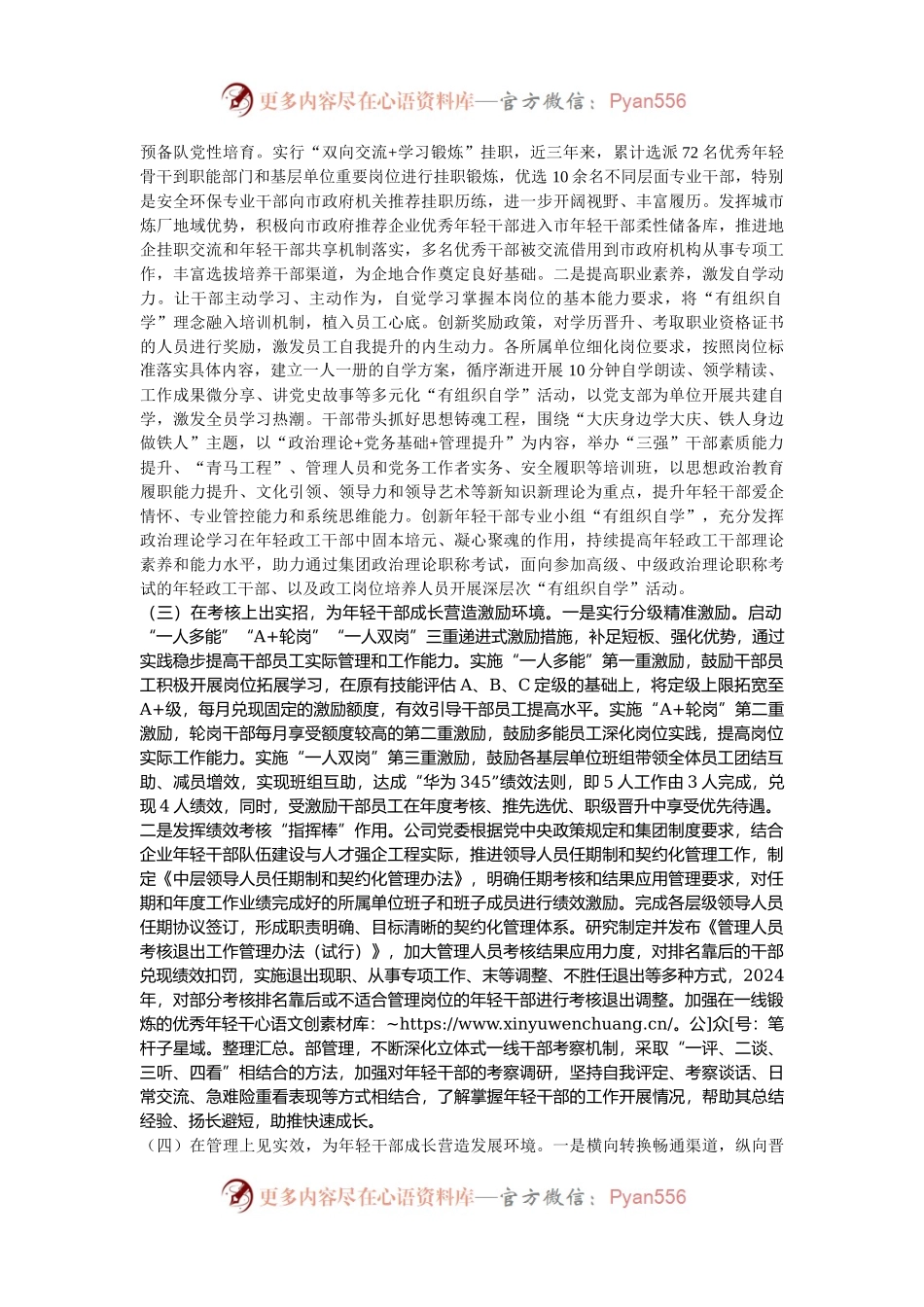 国有企业党委2024年度年轻干部人才培养工作总结.docx_第2页