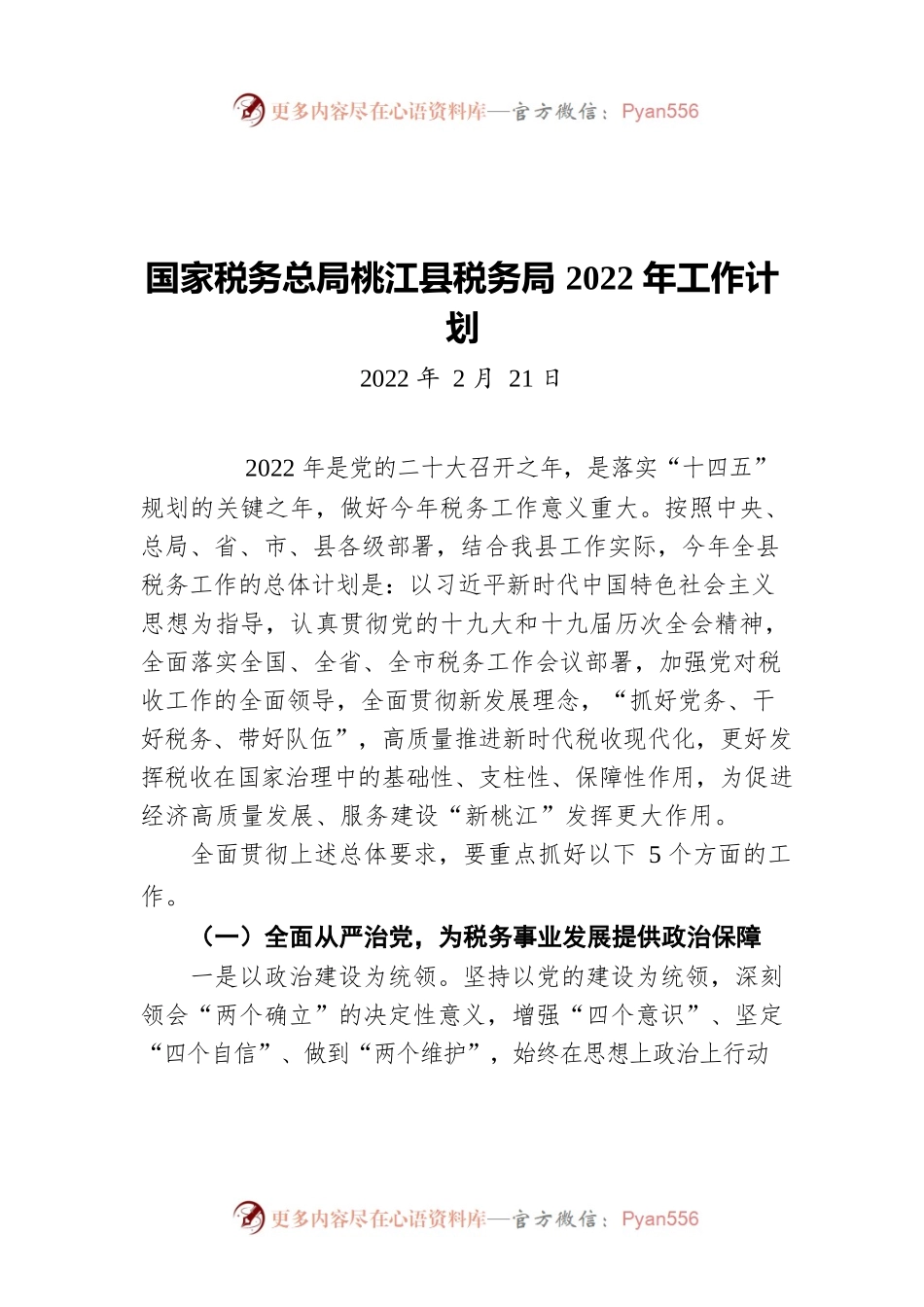 国家税务总局桃江县税务局2022年工作计划（20220221）.docx_第1页