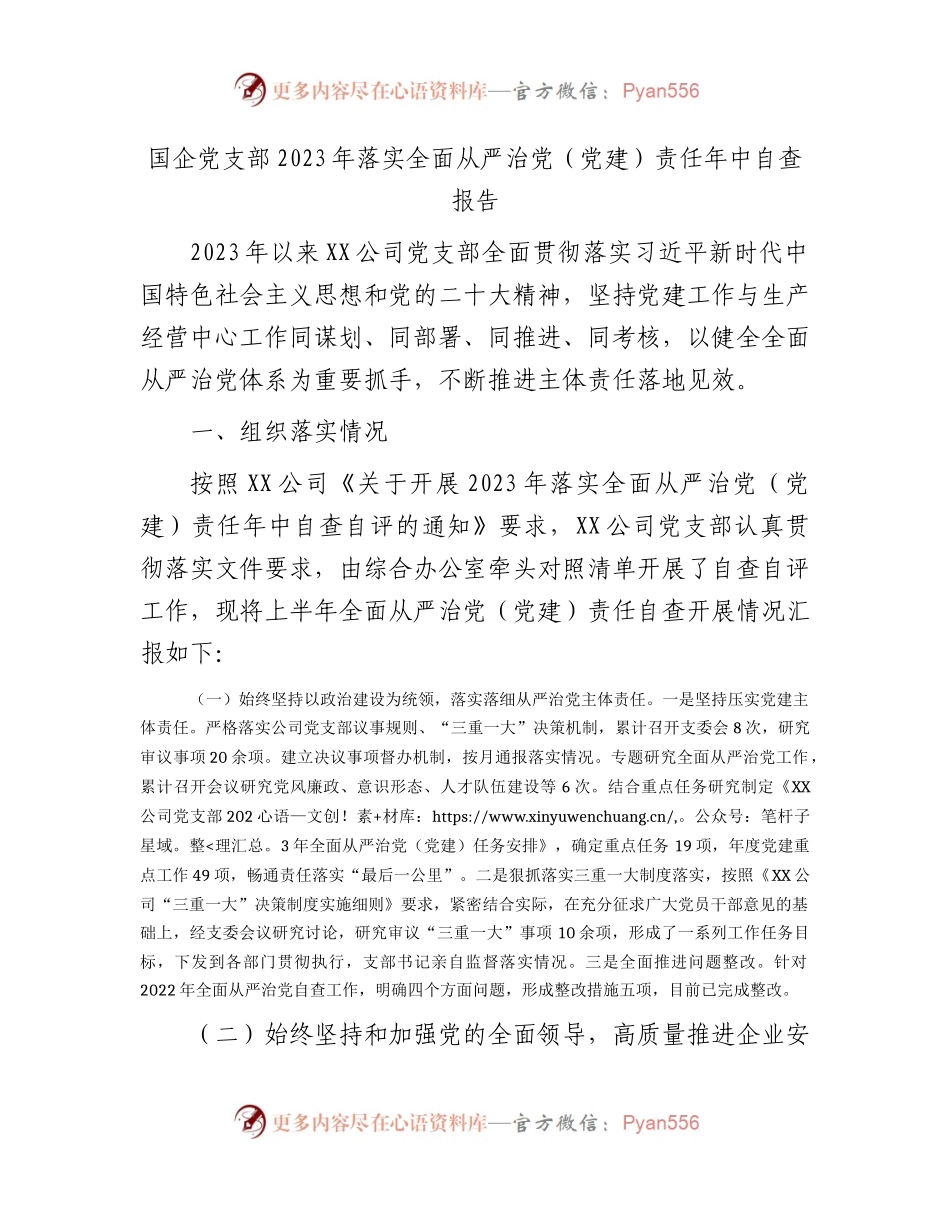 国企公司党支部2023年落实全面从严治党（党建）责任年中自查总结报告6000字.docx_第1页