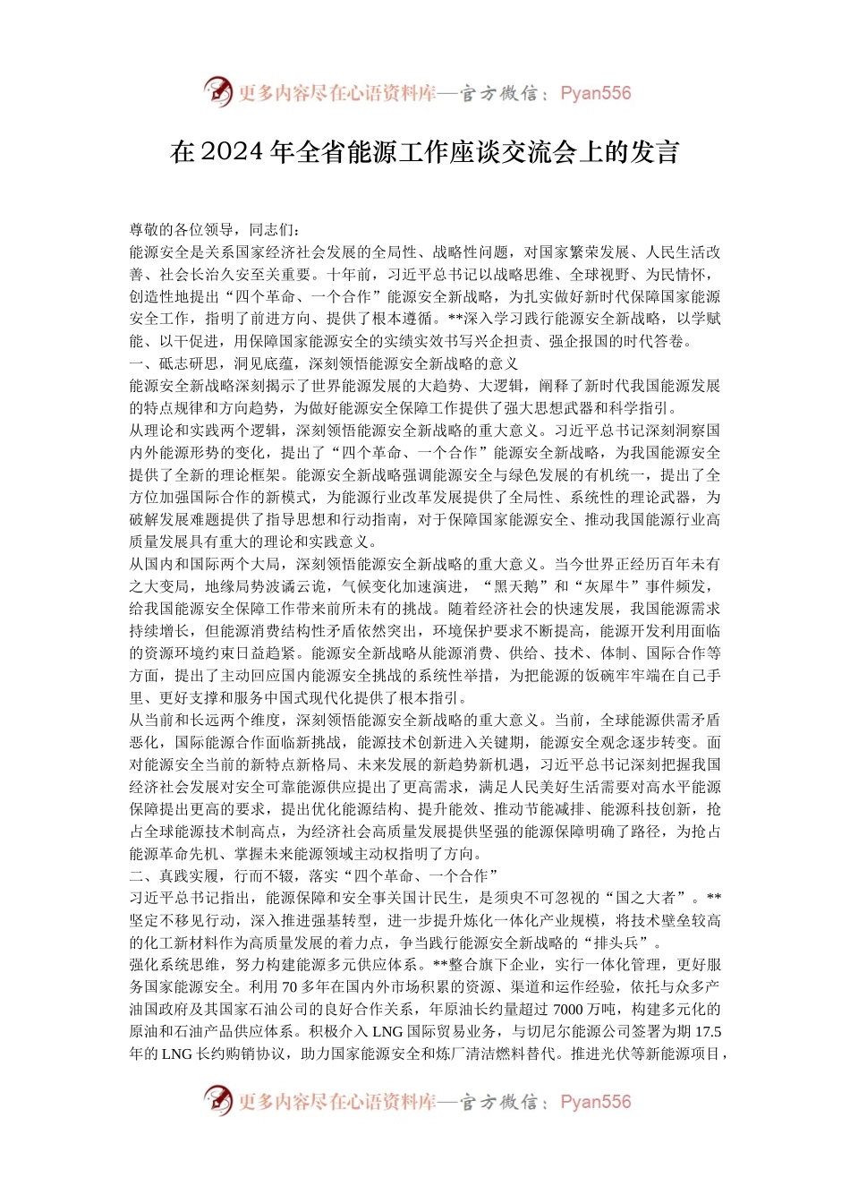 在2024年全省能源工作座谈交流会上的发言.docx_第1页