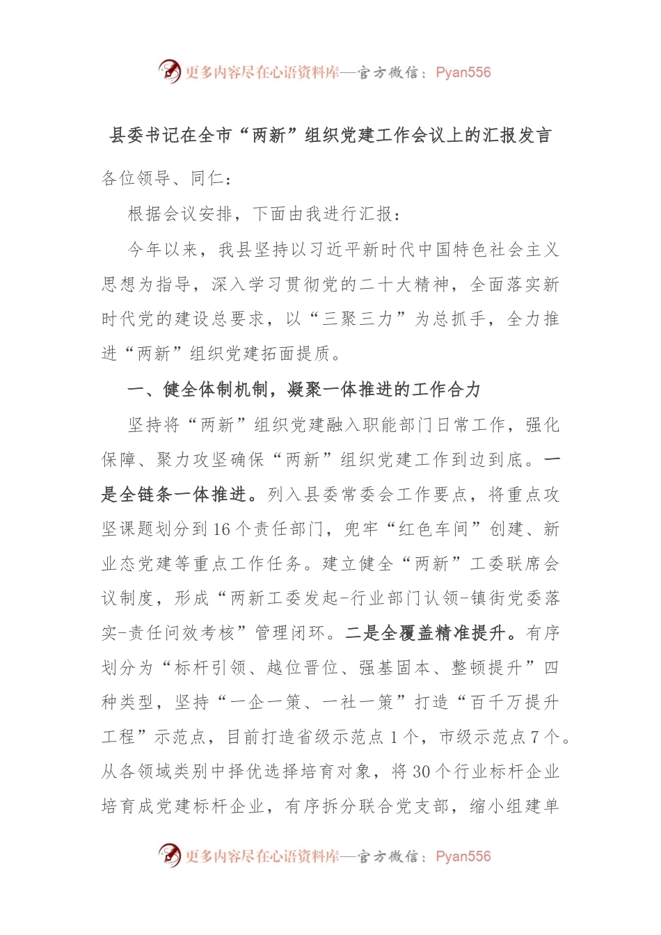 县委书记在全市“两新”组织党建工作会议上的汇报发言.docx_第1页
