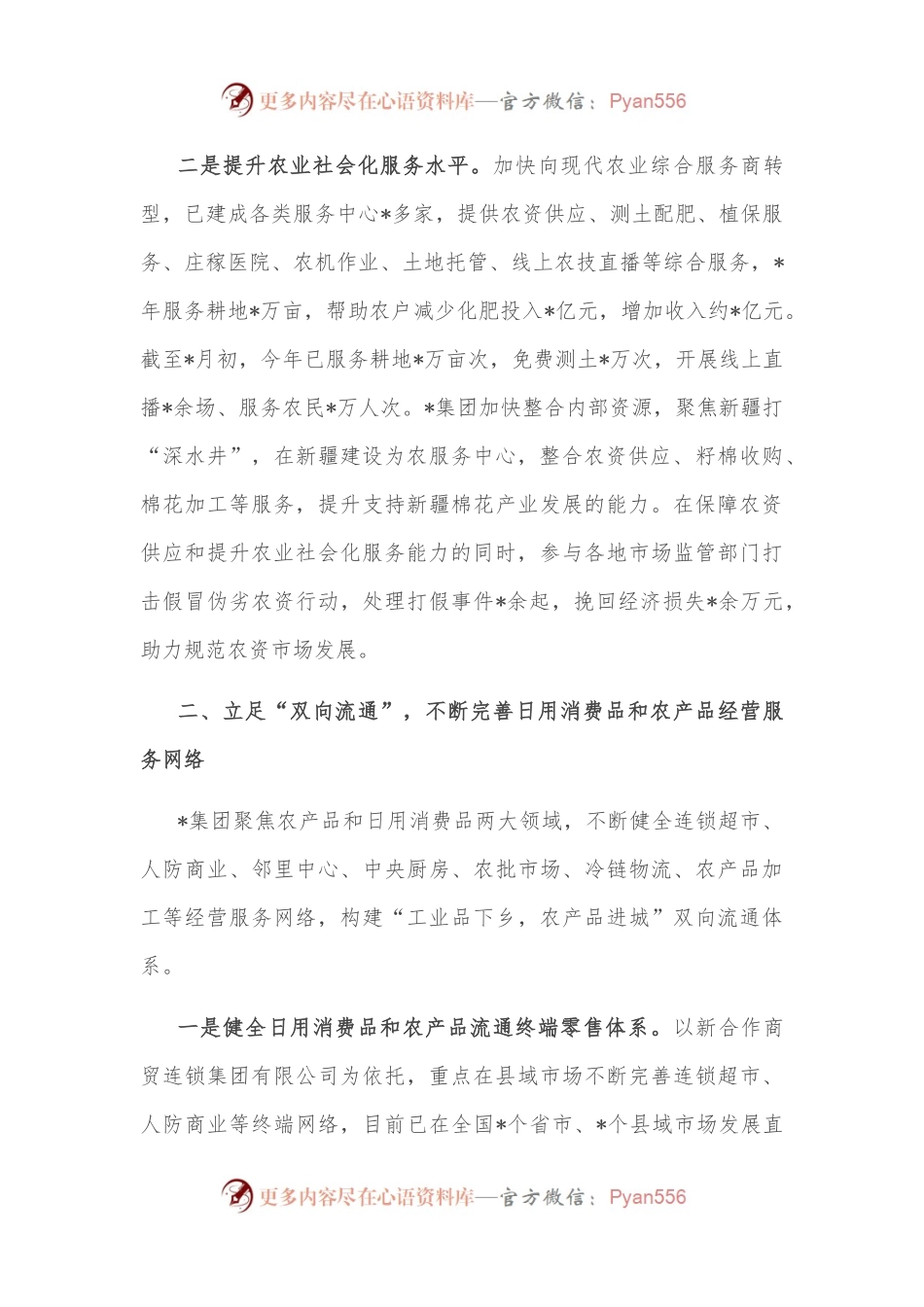 发挥网络优势 完善服务体系 为促进农村消费贡献力量—全国农村商业建设工作现场会经验交流材料.docx_第2页