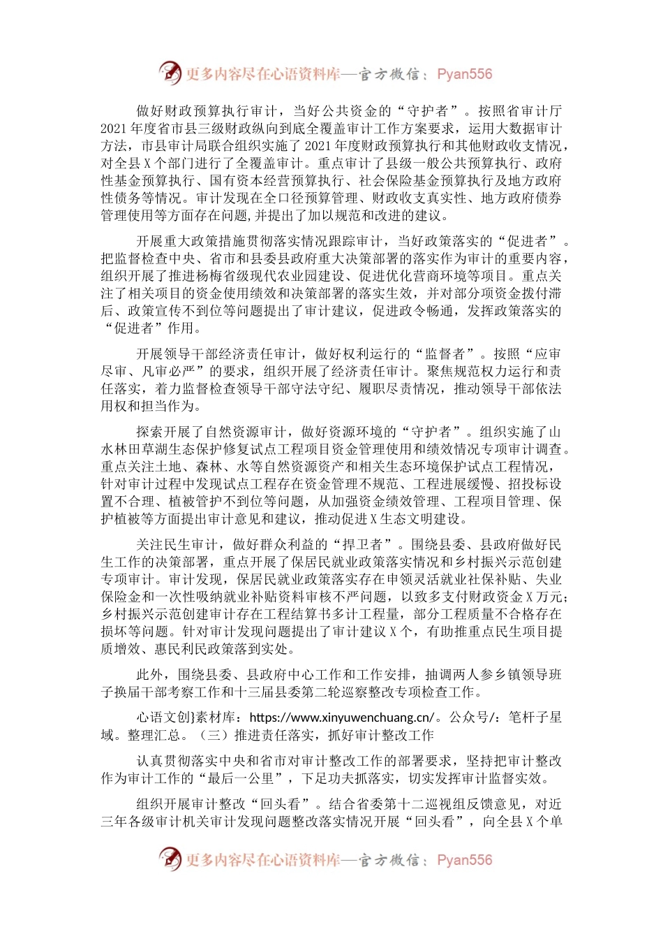 县审计局2021年度工作总结.docx_第1页