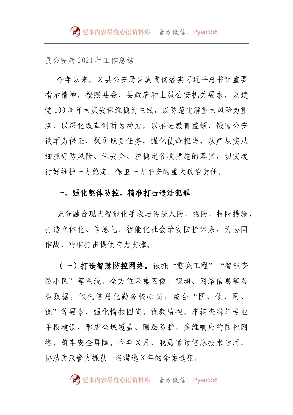 县公安局2021年工作总结.docx_第1页