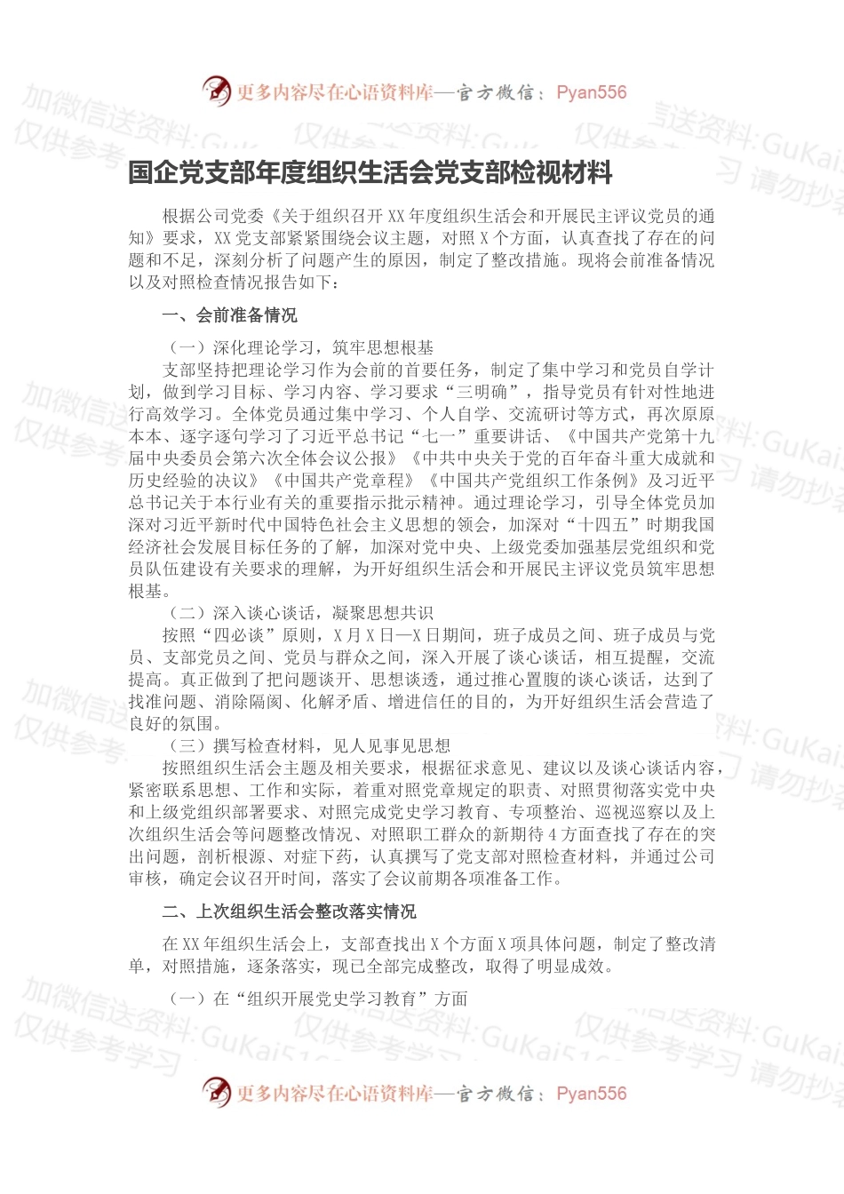 国企党支部年度组织生活会党支部检视材料.docx_第1页