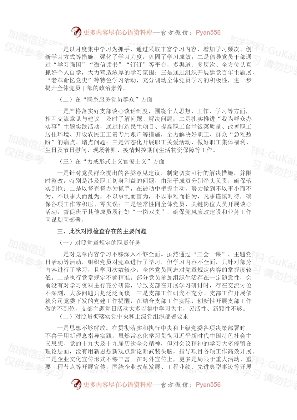 国企党支部年度组织生活会党支部检视材料.docx_第2页