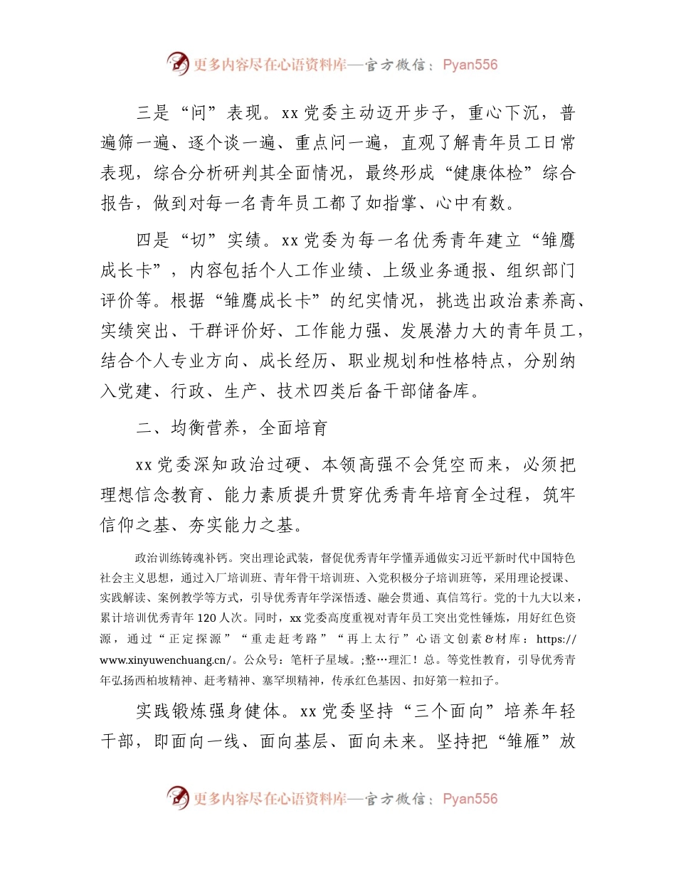 国企公司党建经验交流：“选育用管”全链条发力 为年轻干部打造成长矩阵.docx_第2页