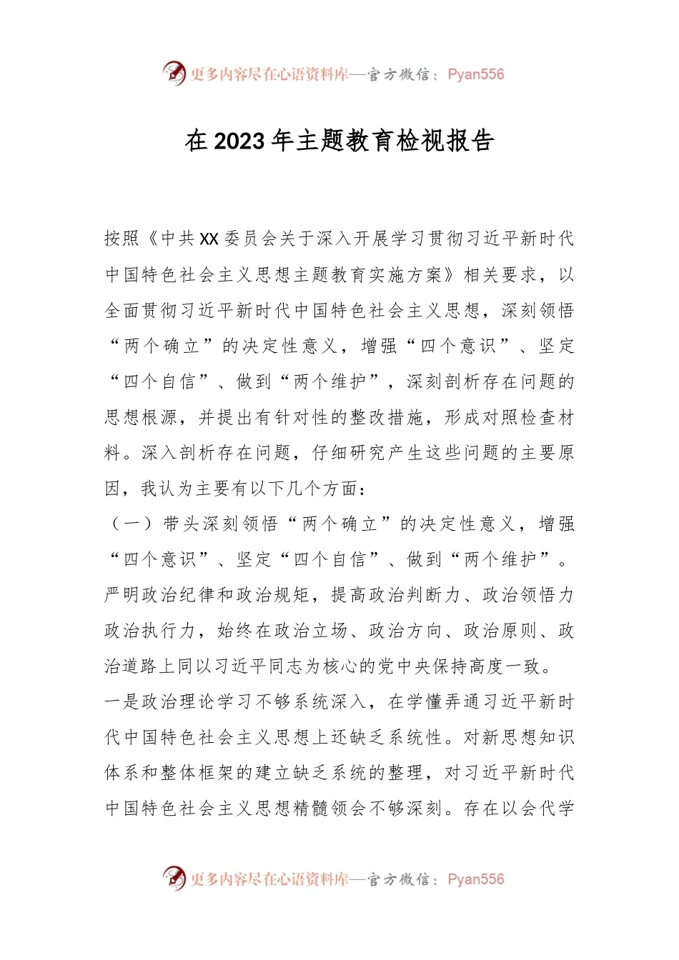 在2023年主题教育检视报告.docx_第1页