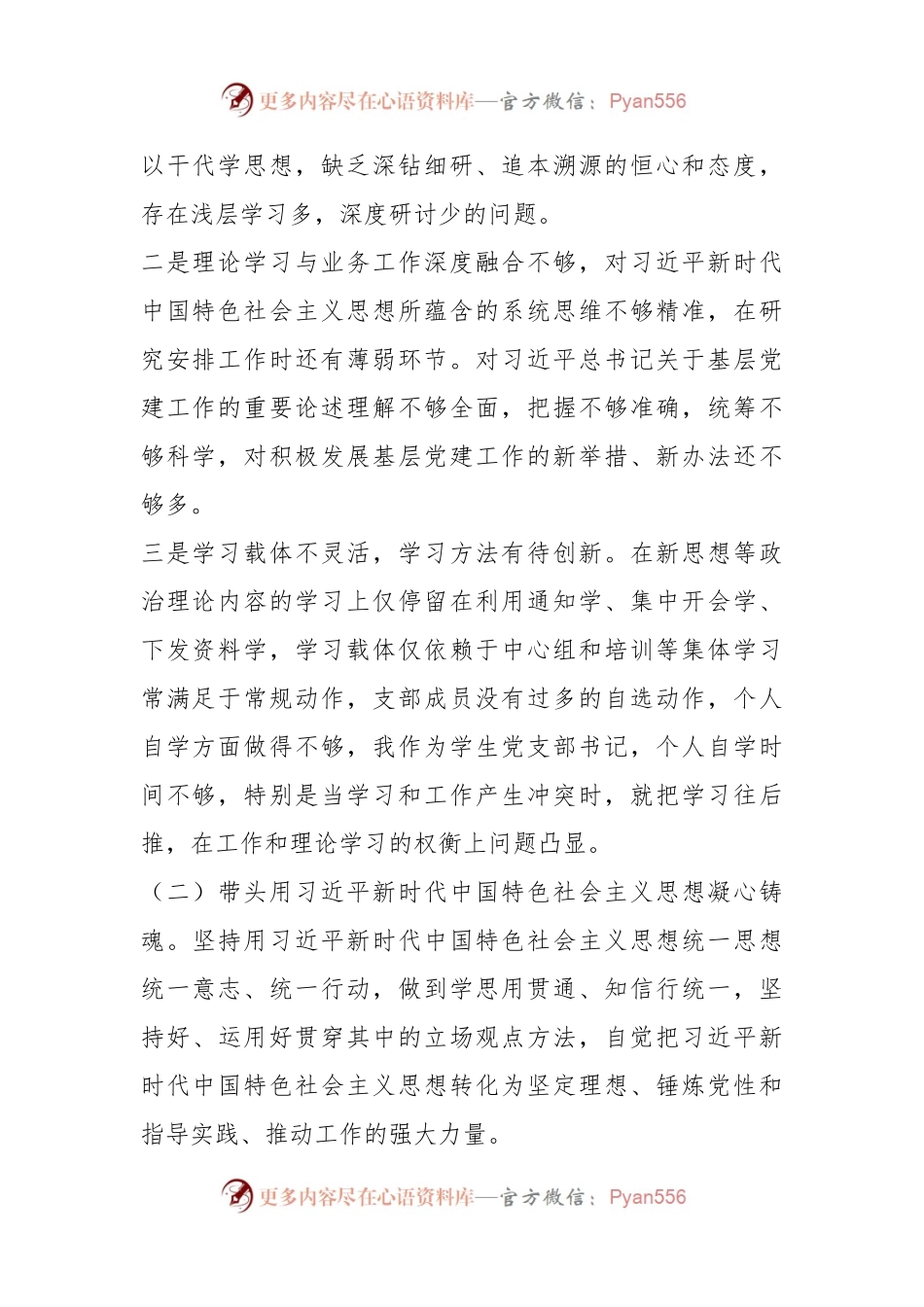 在2023年主题教育检视报告.docx_第2页