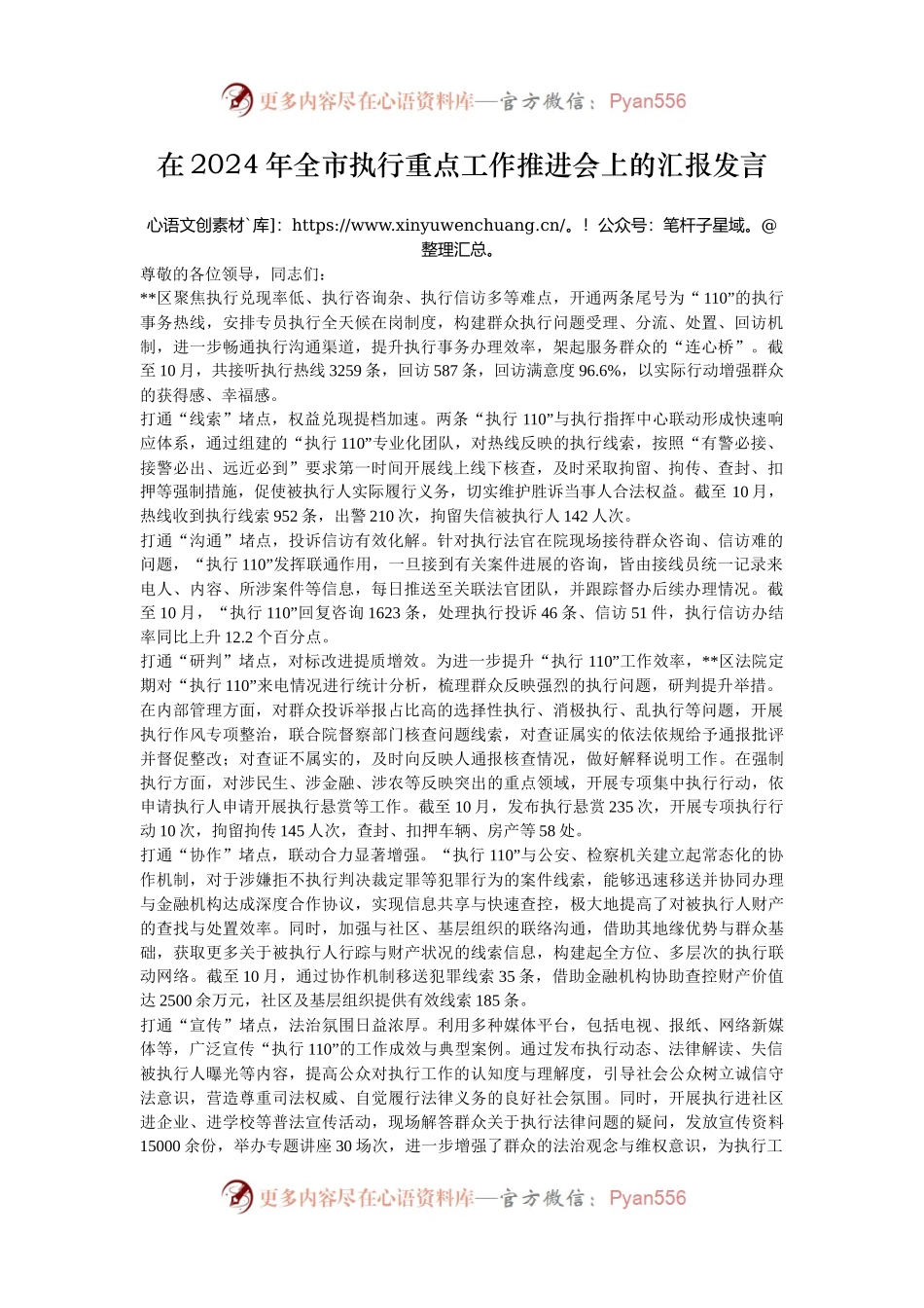 在2024年全市执行重点工作推进会上的汇报发言.docx_第1页