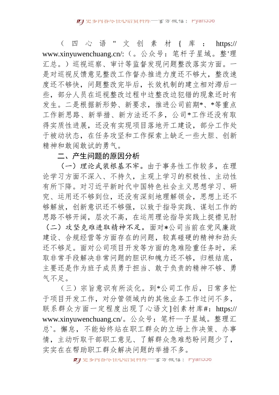 国有企业巡视整改专题民主生活会个人检视剖析材料提纲.docx_第2页