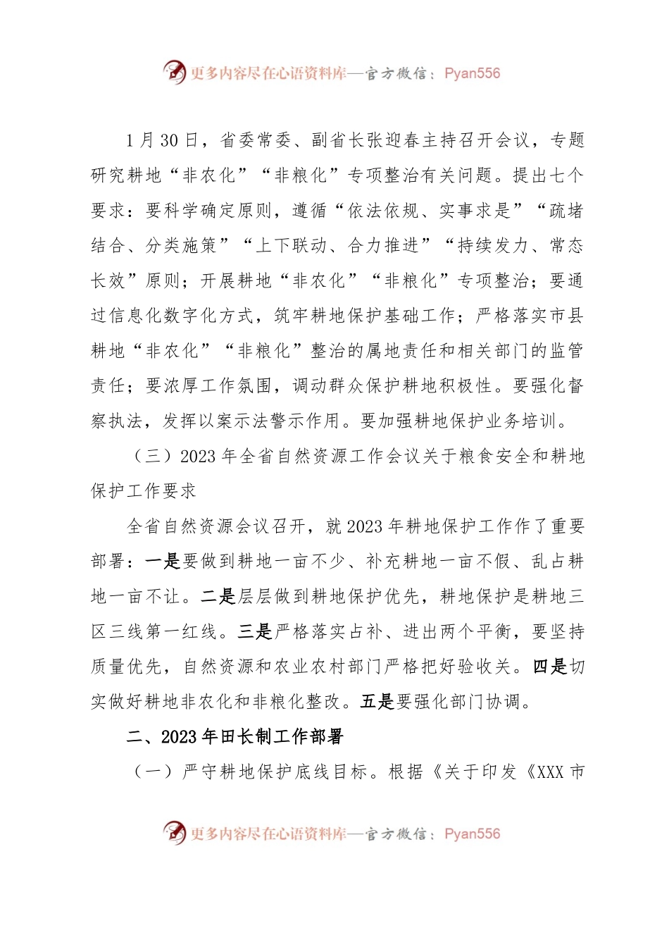 在2023年田长制工作部署会上的讲话.docx_第2页