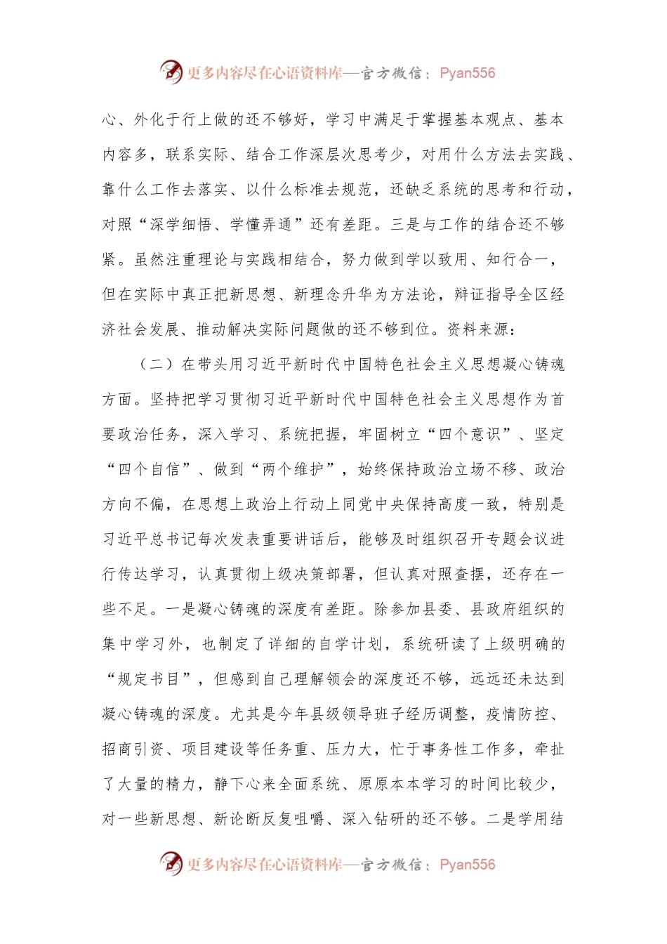 县长2022年度专题民主生活会“六个带头”对照检查发言材料1.docx_第2页