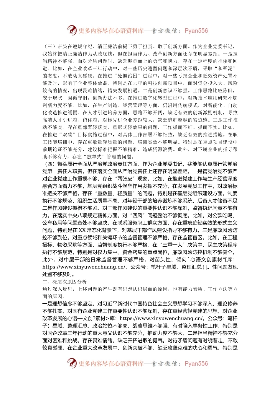 国企党委书记2024年民主生活会个人对照检查发言材料（四个带头）.docx_第2页