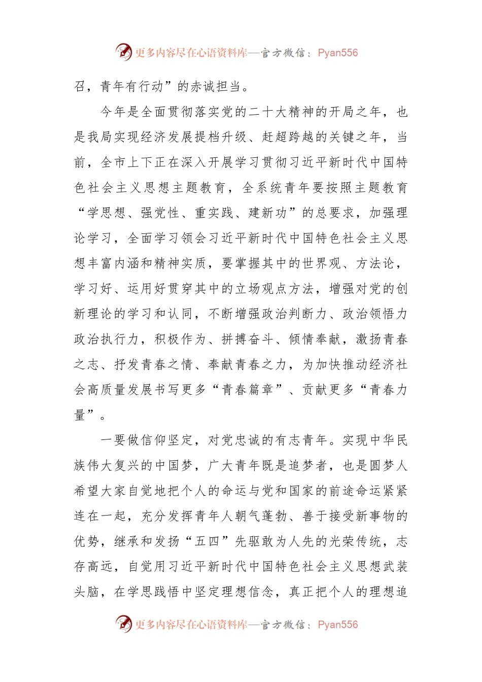 在2023年青年助力高质量发展动员会上的讲话稿.docx_第2页