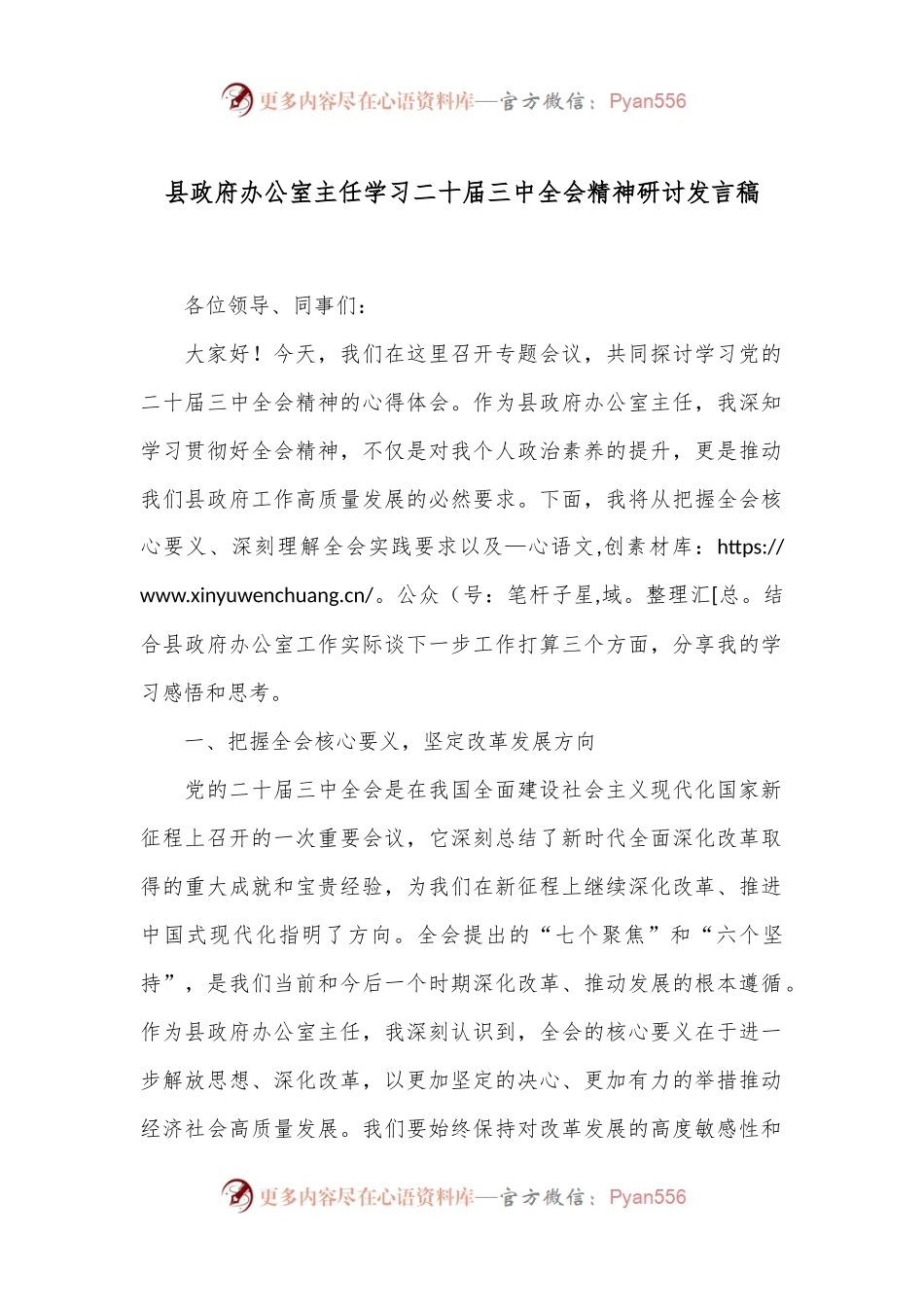 县政府办公室主任学习二十届三中全会精神研讨发言稿.docx_第1页