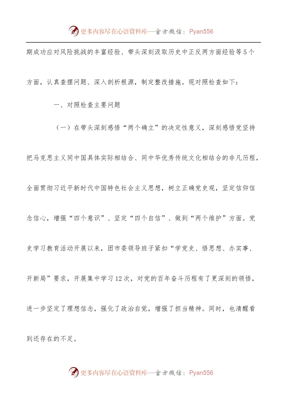团市委领导班子2022年全会专题民主生活会对照检查材料.docx_第2页