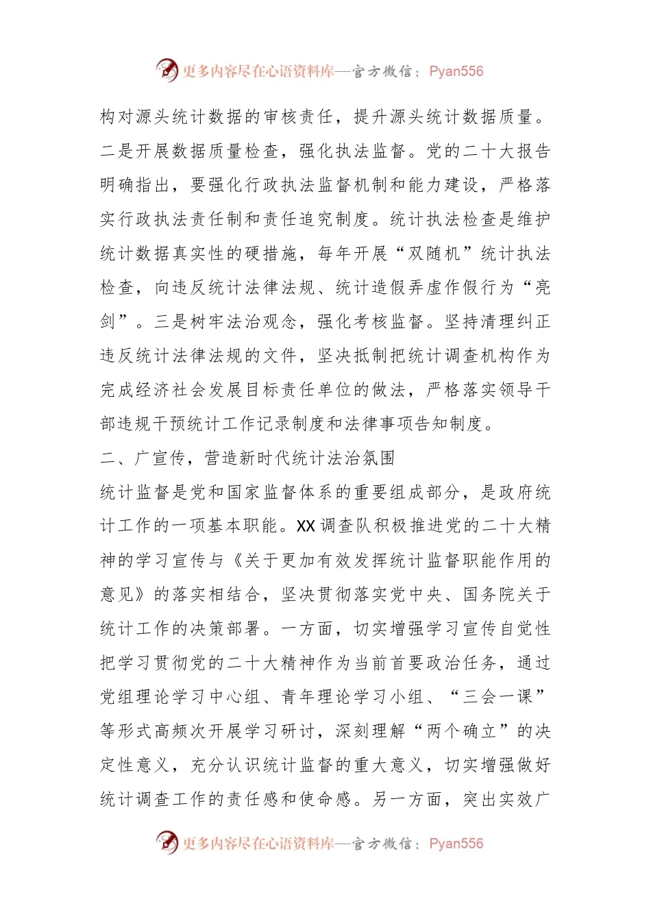 国家统计局调查队队长发言：更加有效发挥统计监督职能作用.docx_第2页