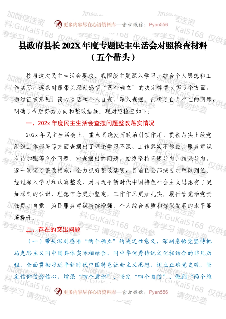 县政府县长202X年度专题民主生活会对照检查材料（五个带头）.docx_第1页