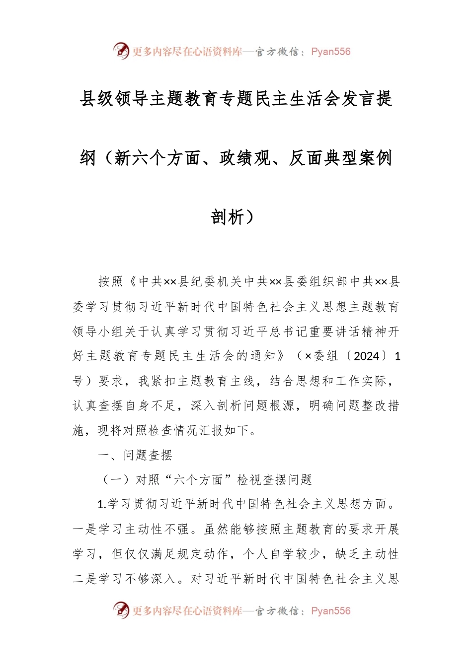 县级领导主题教育专题民主生活会发言稿提纲（新六个方面、政绩观、反面典型案例剖析）.docx_第1页