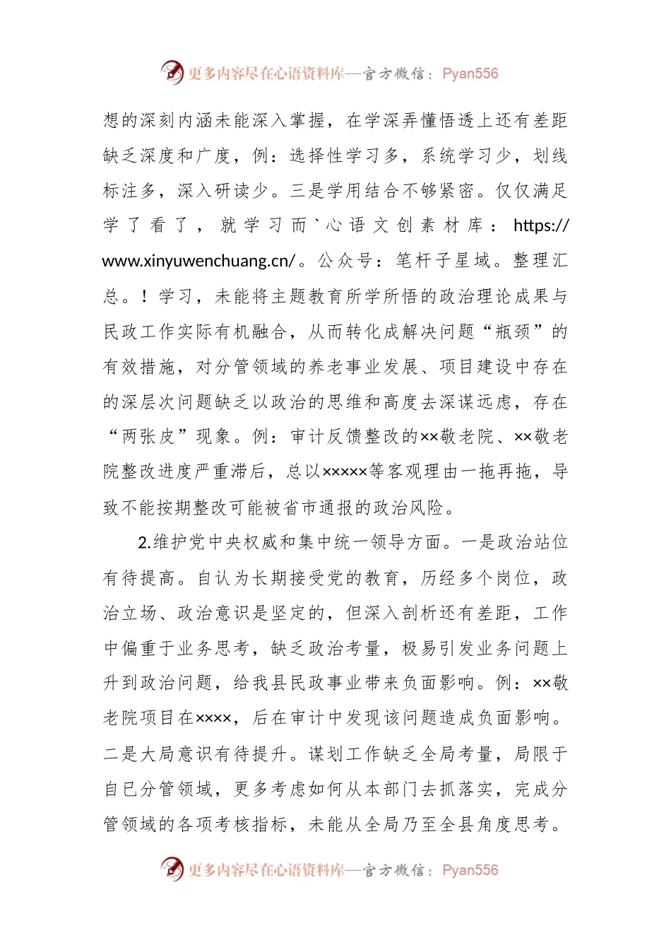 县级领导主题教育专题民主生活会发言稿提纲（新六个方面、政绩观、反面典型案例剖析）.docx_第2页
