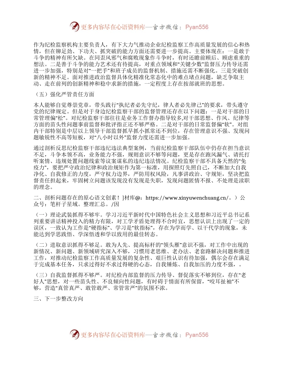 国企纪委书记教育整顿专题民主生活会发言提纲.docx_第2页