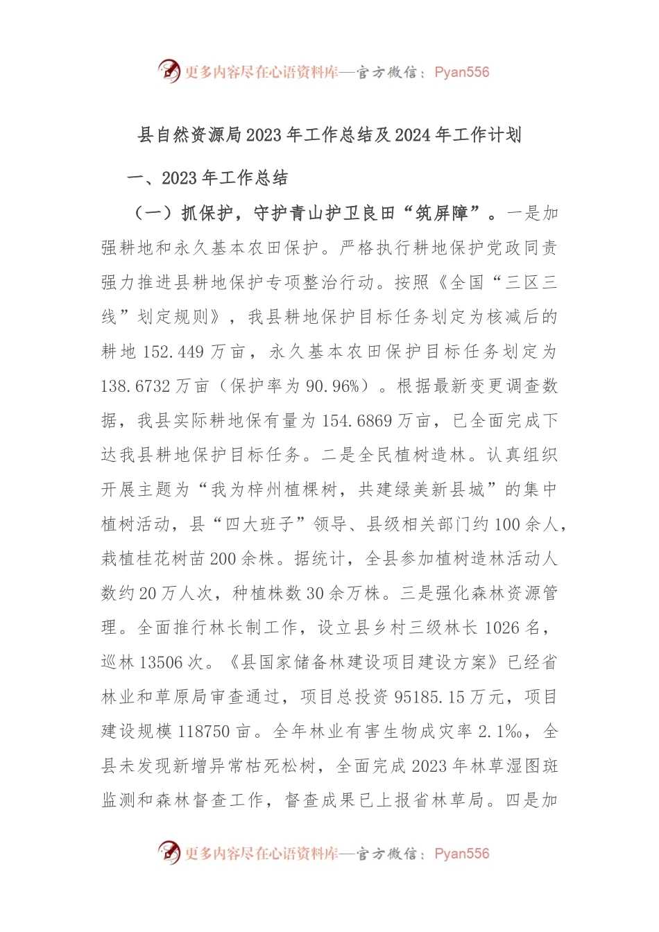 县自然资源局2023年工作总结及2024年工作计划.docx_第1页