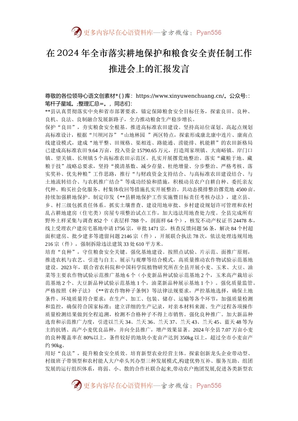 在2024年全市落实耕地保护和粮食安全责任制工作推进会上的汇报发言.docx_第1页