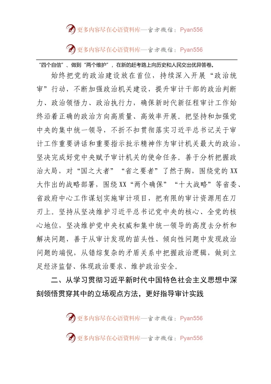 在2023年审计系统党建工作会议上的讲话.docx_第2页