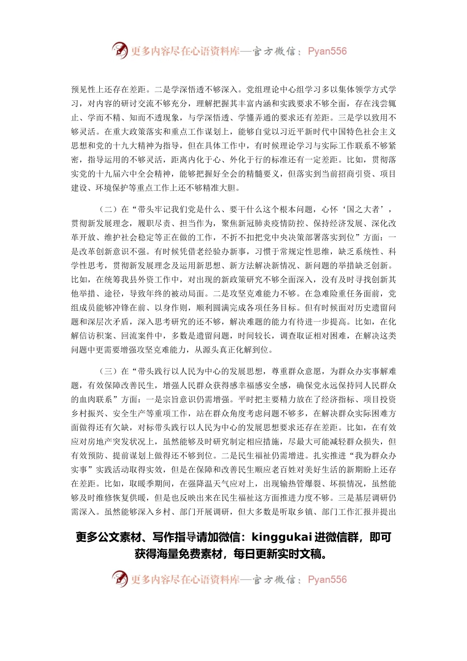 县政府党组党史学习教育专题民主生活会“五个带头”对照检查材料.docx_第2页