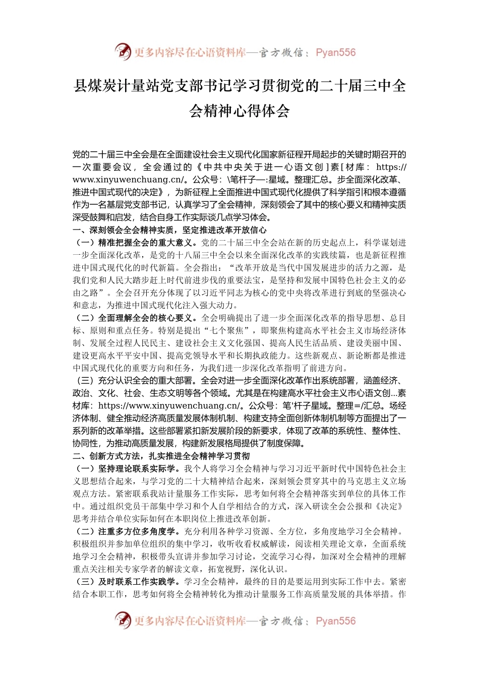 县煤炭计量站党支部书记学习贯彻党的二十届三中全会精神心得体会.docx_第1页