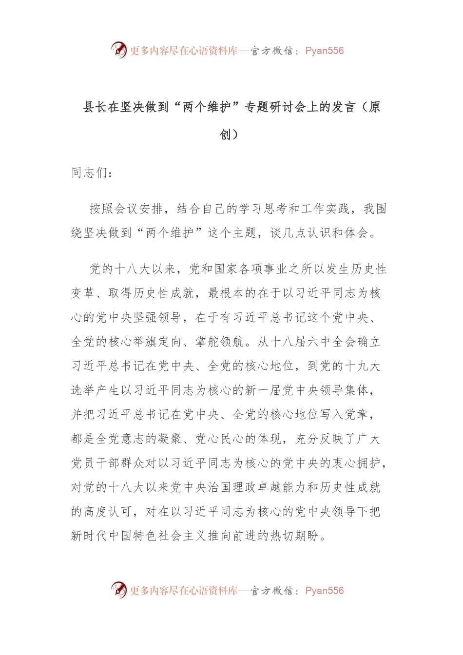 县长在坚决做到“两个维护”专题研讨会上的发言（原创）.docx_第1页