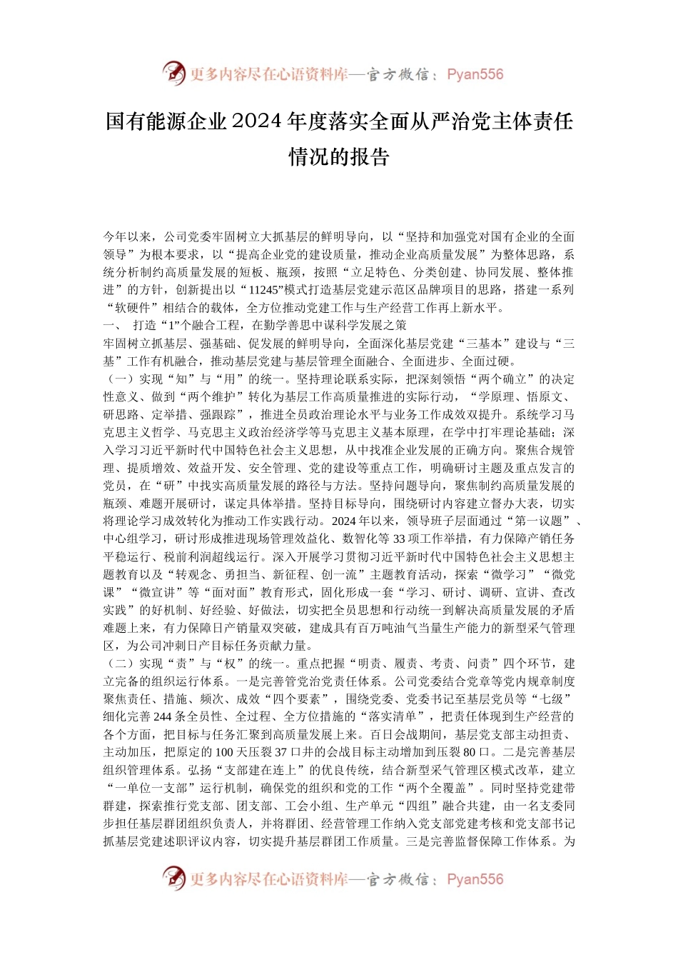 国有能源企业2024年度落实全面从严治党主体责任情况的报告.docx_第1页