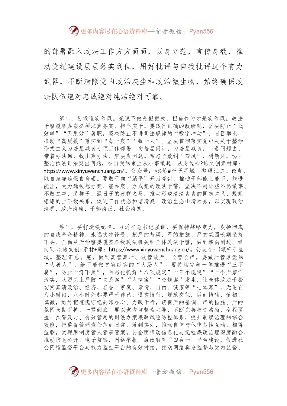 在2024年政法队伍建设专题研讨交流会上的发言.docx_第2页