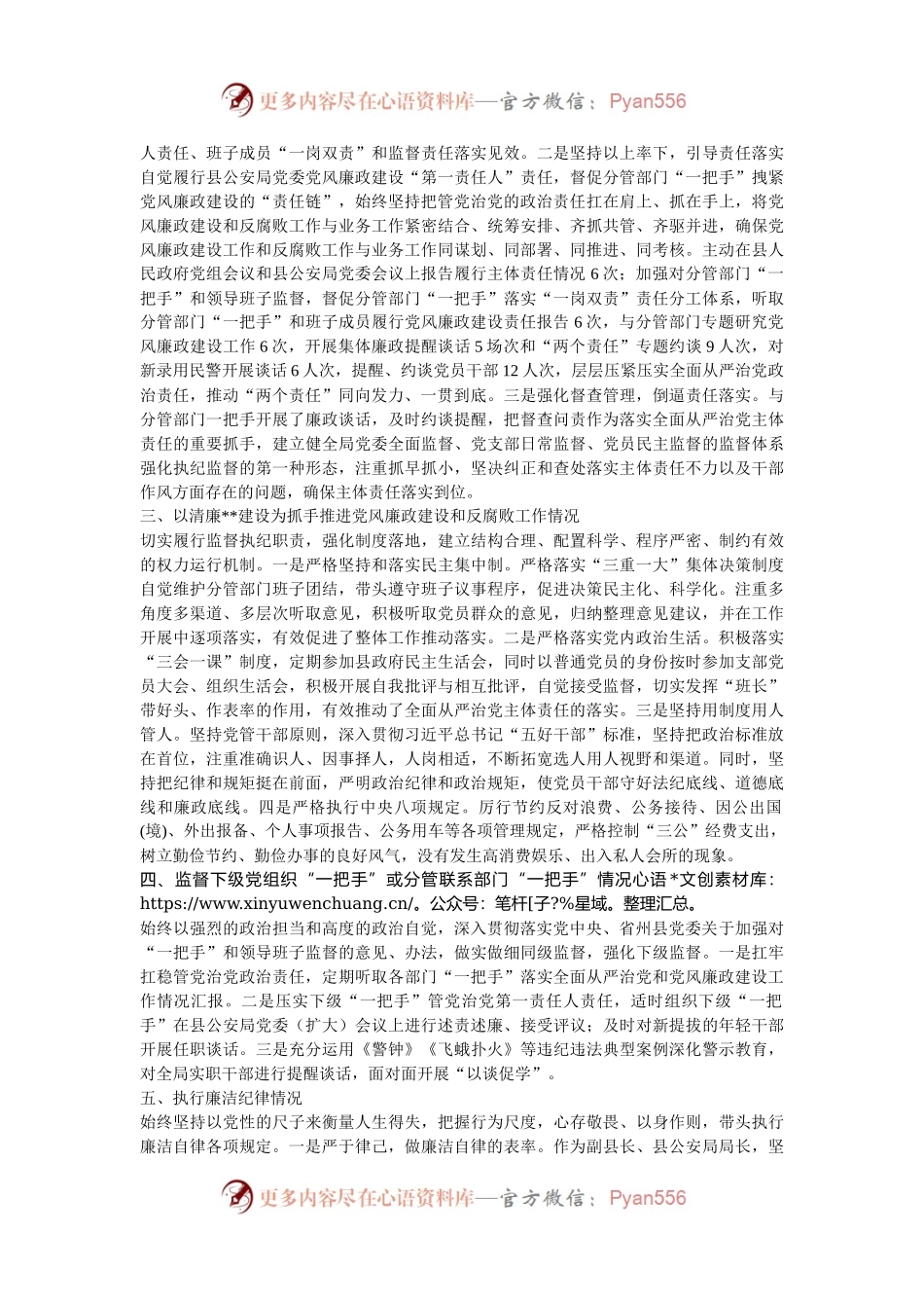 县公安局长2024年度个人述责述廉报告.docx_第2页